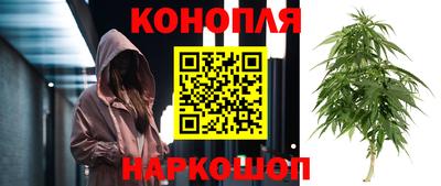 индика Краснокаменск